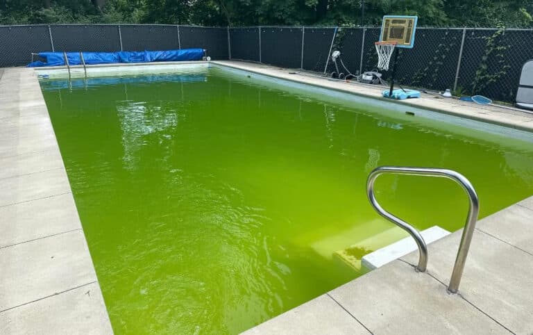 green pool